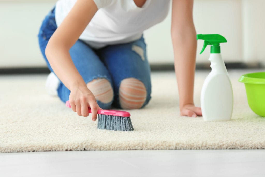 Fiber Sheild Rug and Carpet Protection!