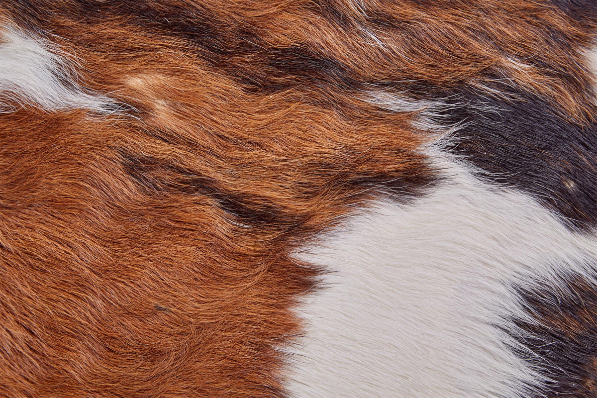 Bartlett COWHD in EXOTIC/MEDIUM