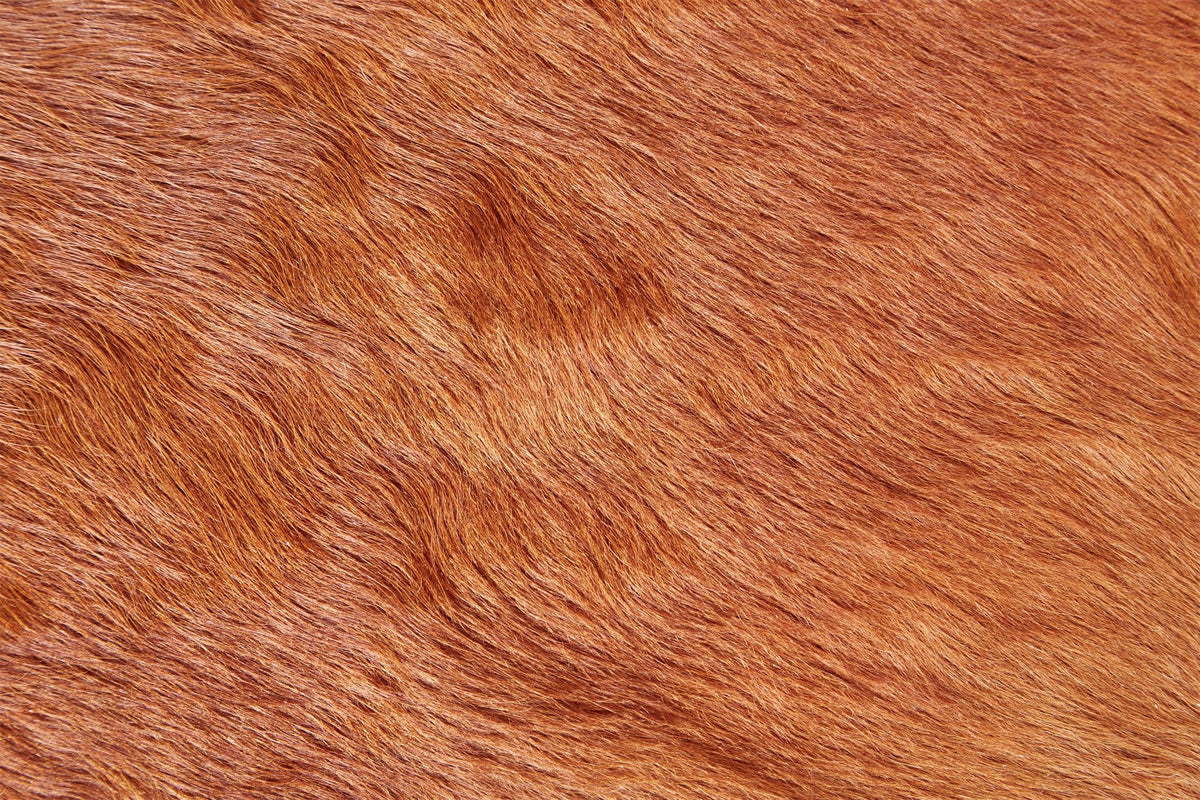Bartlett COWHD in MEDIUM BROWN