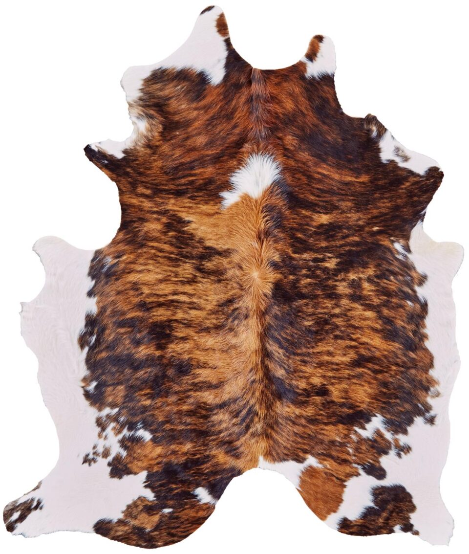Bartlett COWHD in EXOTIC/MEDIUM